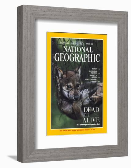 Cover of the March, 1995 National Geographic Magazine-Joel Sartore-Framed Photographic Print