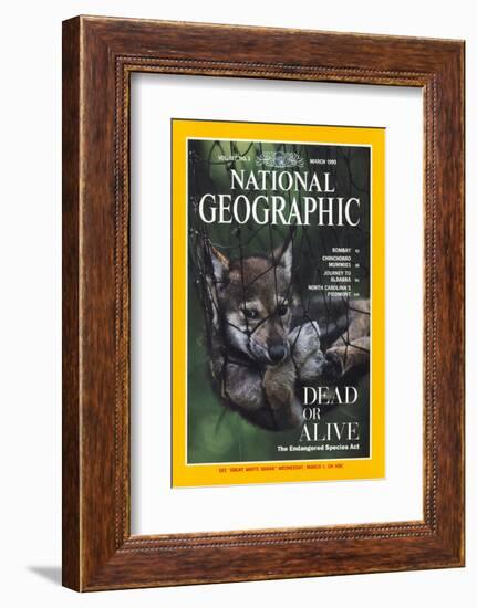 Cover of the March, 1995 National Geographic Magazine-Joel Sartore-Framed Photographic Print