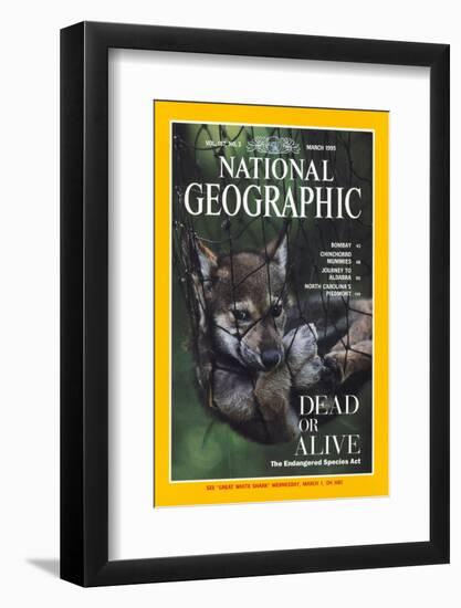 Cover of the March, 1995 National Geographic Magazine-Joel Sartore-Framed Photographic Print