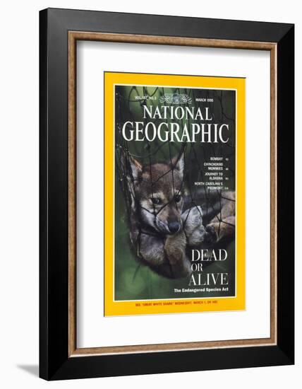 Cover of the March, 1995 National Geographic Magazine-Joel Sartore-Framed Photographic Print