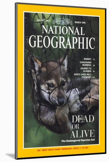 Cover of the March, 1995 National Geographic Magazine-Joel Sartore-Mounted Photographic Print
