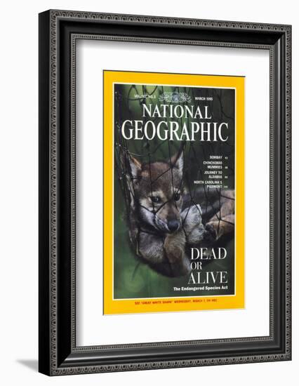 Cover of the March, 1995 National Geographic Magazine-Joel Sartore-Framed Photographic Print