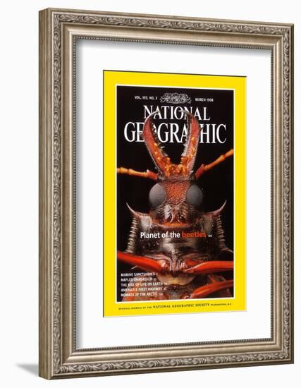 Cover of the March, 1998 National Geographic Magazine-Mark W. Moffett-Framed Photographic Print