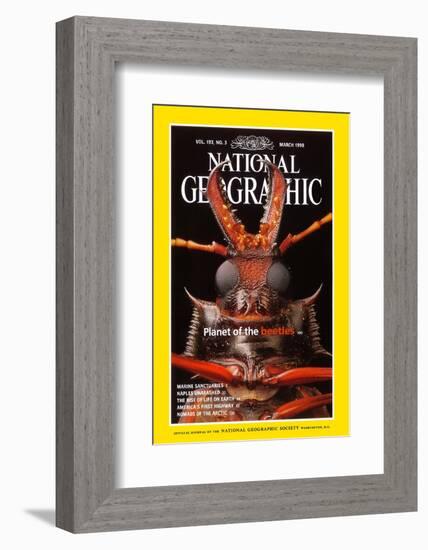 Cover of the March, 1998 National Geographic Magazine-Mark W. Moffett-Framed Photographic Print