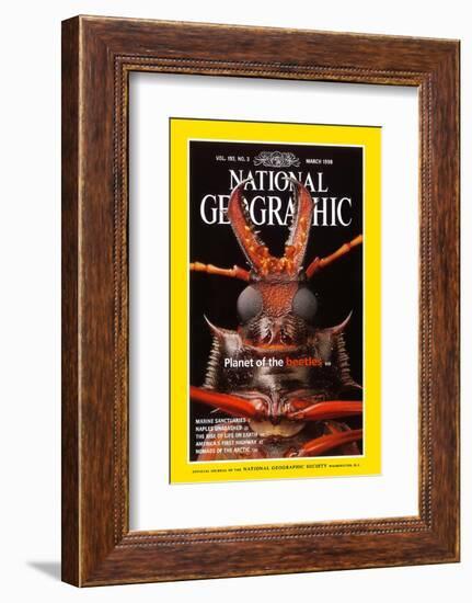 Cover of the March, 1998 National Geographic Magazine-Mark W. Moffett-Framed Photographic Print