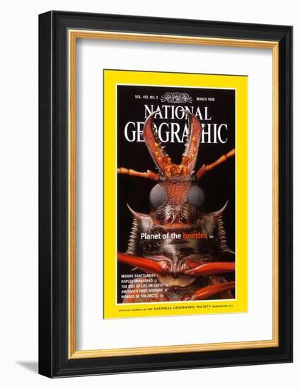 Cover of the March, 1998 National Geographic Magazine-Mark W. Moffett-Framed Photographic Print