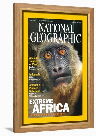 Cover of the March, 2001 National Geographic Magazine-Michael Nichols-Framed Premier Image Canvas