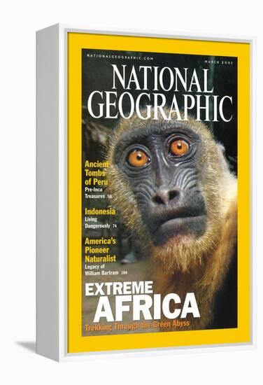 Cover of the March, 2001 National Geographic Magazine-Michael Nichols-Framed Premier Image Canvas