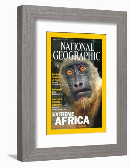 Cover of the March, 2001 National Geographic Magazine-Michael Nichols-Framed Photographic Print