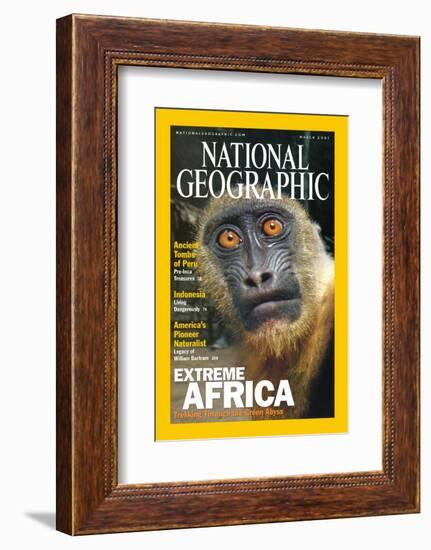 Cover of the March, 2001 National Geographic Magazine-Michael Nichols-Framed Photographic Print