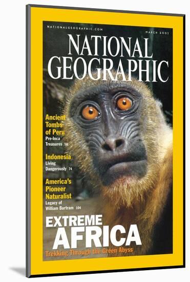 Cover of the March, 2001 National Geographic Magazine-Michael Nichols-Mounted Photographic Print