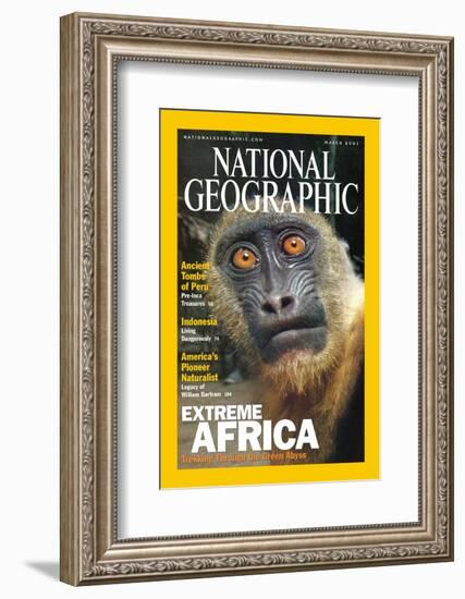 Cover of the March, 2001 National Geographic Magazine-Michael Nichols-Framed Photographic Print