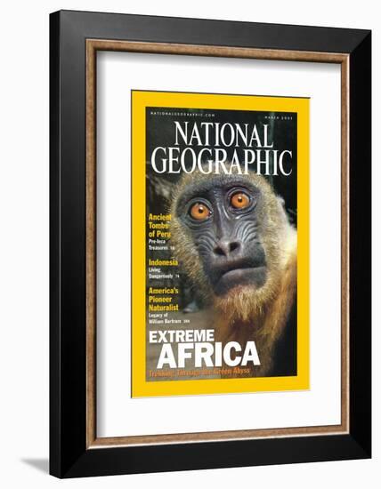 Cover of the March, 2001 National Geographic Magazine-Michael Nichols-Framed Photographic Print