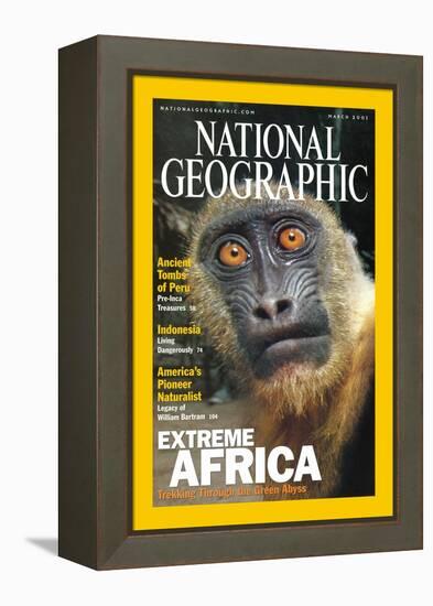 Cover of the March, 2001 National Geographic Magazine-Michael Nichols-Framed Premier Image Canvas