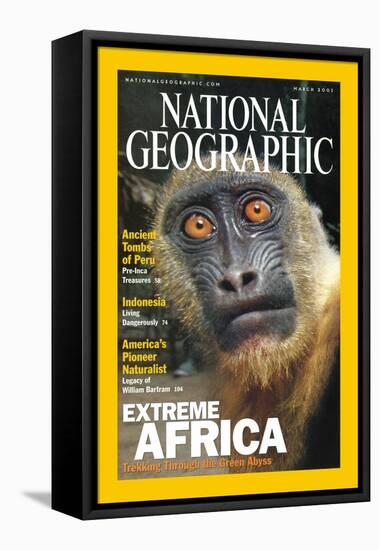 Cover of the March, 2001 National Geographic Magazine-Michael Nichols-Framed Premier Image Canvas