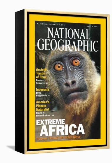 Cover of the March, 2001 National Geographic Magazine-Michael Nichols-Framed Premier Image Canvas