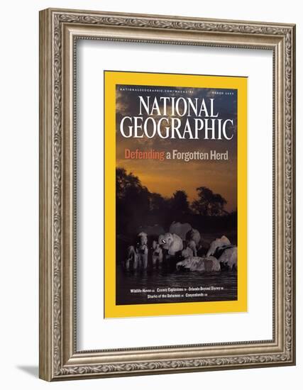 Cover of the March, 2007 National Geographic Magazine-Michael Nichols-Framed Photographic Print