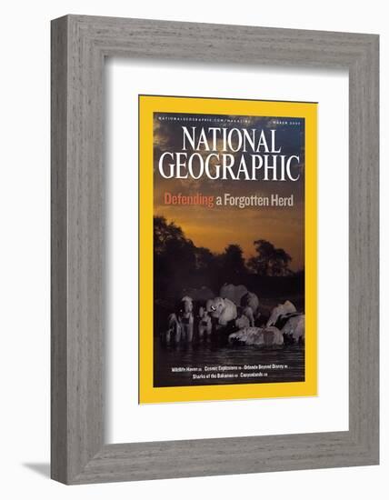 Cover of the March, 2007 National Geographic Magazine-Michael Nichols-Framed Photographic Print