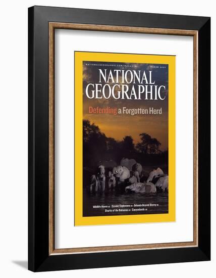 Cover of the March, 2007 National Geographic Magazine-Michael Nichols-Framed Photographic Print