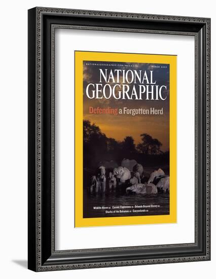 Cover of the March, 2007 National Geographic Magazine-Michael Nichols-Framed Photographic Print