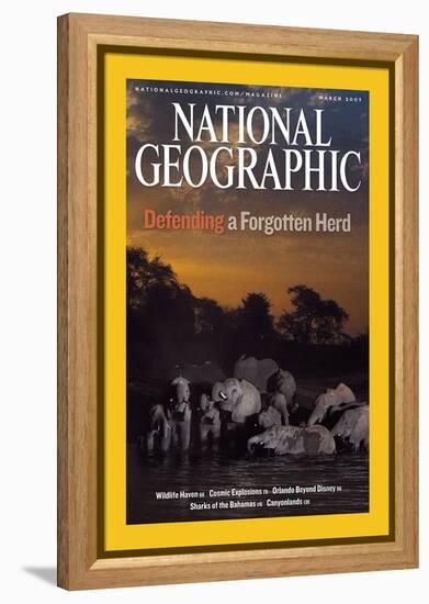 Cover of the March, 2007 National Geographic Magazine-Michael Nichols-Framed Premier Image Canvas