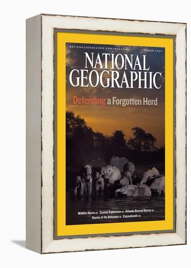 Cover of the March, 2007 National Geographic Magazine-Michael Nichols-Framed Premier Image Canvas