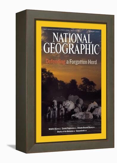 Cover of the March, 2007 National Geographic Magazine-Michael Nichols-Framed Premier Image Canvas