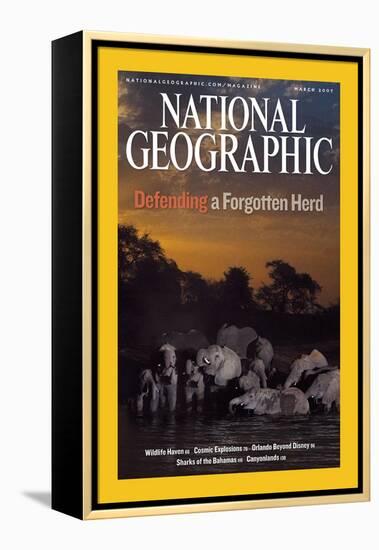 Cover of the March, 2007 National Geographic Magazine-Michael Nichols-Framed Premier Image Canvas