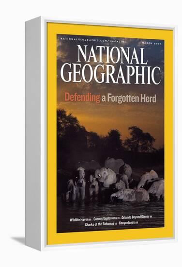 Cover of the March, 2007 National Geographic Magazine-Michael Nichols-Framed Premier Image Canvas