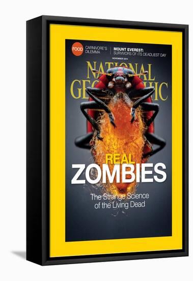 Cover of the November, 2014 National Geographic Magazine-Anand Varma-Framed Premier Image Canvas