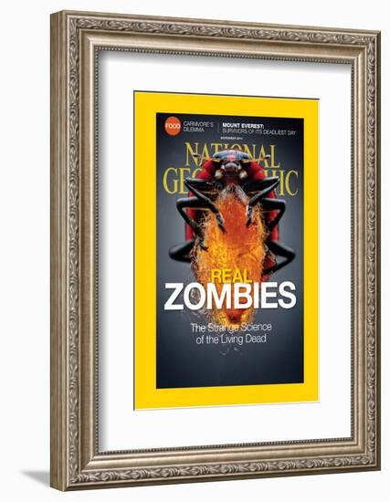 Cover of the November, 2014 National Geographic Magazine-Anand Varma-Framed Photographic Print