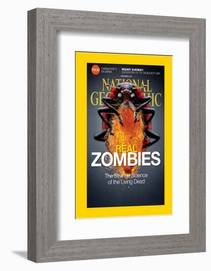 Cover of the November, 2014 National Geographic Magazine-Anand Varma-Framed Photographic Print