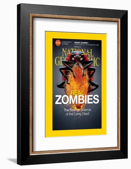 Cover of the November, 2014 National Geographic Magazine-Anand Varma-Framed Photographic Print