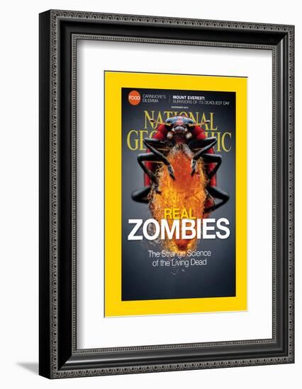 Cover of the November, 2014 National Geographic Magazine-Anand Varma-Framed Photographic Print