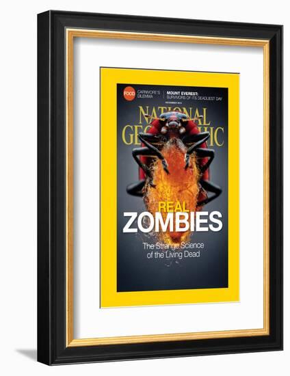 Cover of the November, 2014 National Geographic Magazine-Anand Varma-Framed Photographic Print