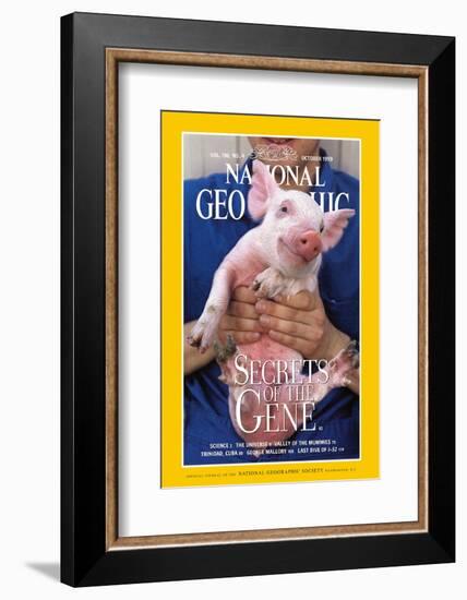 Cover of the October, 1999 National Geographic Magazine-Karen Kasmauski-Framed Photographic Print