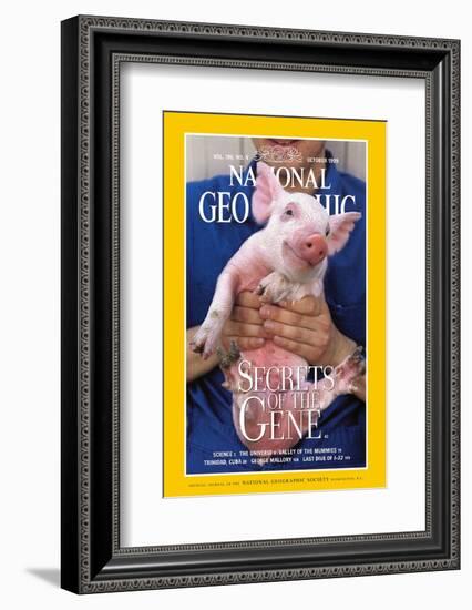 Cover of the October, 1999 National Geographic Magazine-Karen Kasmauski-Framed Photographic Print