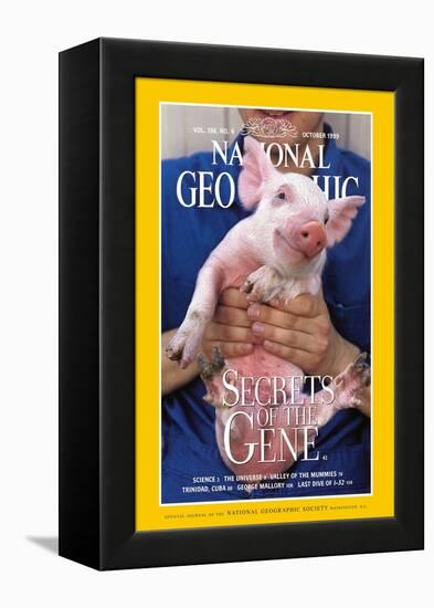 Cover of the October, 1999 National Geographic Magazine-Karen Kasmauski-Framed Premier Image Canvas