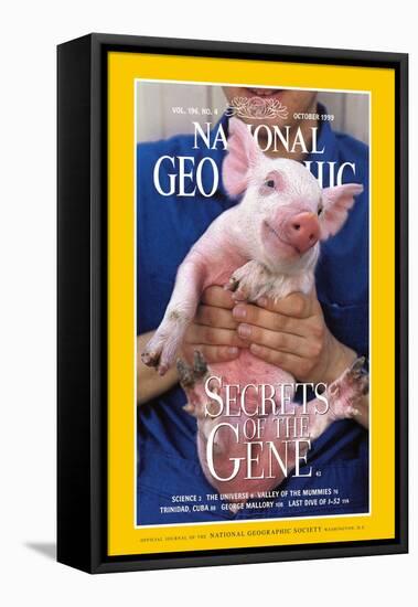 Cover of the October, 1999 National Geographic Magazine-Karen Kasmauski-Framed Premier Image Canvas