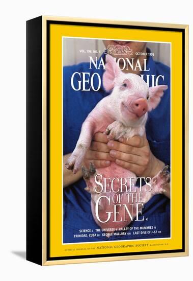 Cover of the October, 1999 National Geographic Magazine-Karen Kasmauski-Framed Premier Image Canvas