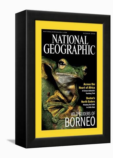 Cover of the October, 2000 National Geographic Magazine-Tim Laman-Framed Premier Image Canvas