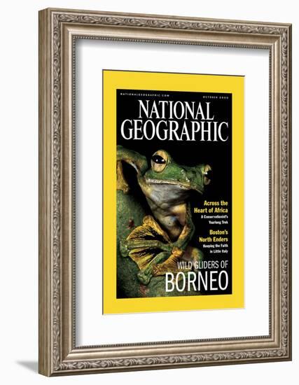 Cover of the October, 2000 National Geographic Magazine-Tim Laman-Framed Photographic Print