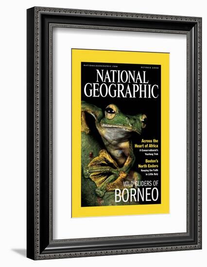 Cover of the October, 2000 National Geographic Magazine-Tim Laman-Framed Photographic Print