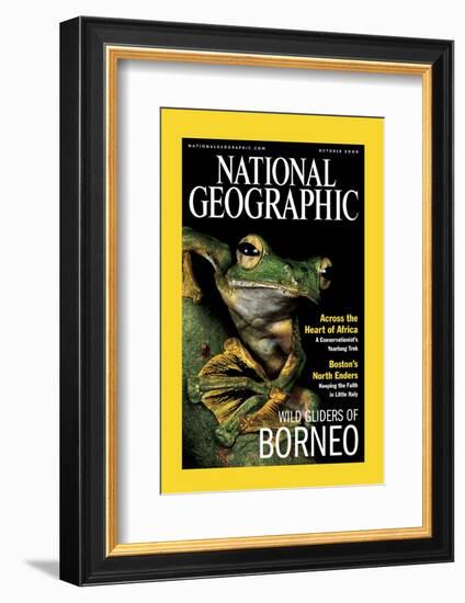 Cover of the October, 2000 National Geographic Magazine-Tim Laman-Framed Photographic Print