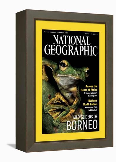 Cover of the October, 2000 National Geographic Magazine-Tim Laman-Framed Premier Image Canvas