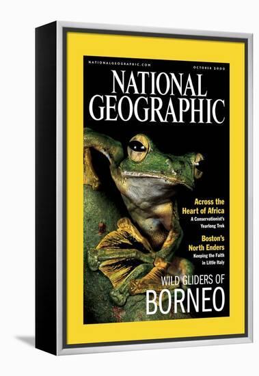 Cover of the October, 2000 National Geographic Magazine-Tim Laman-Framed Premier Image Canvas