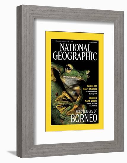 Cover of the October, 2000 National Geographic Magazine-Tim Laman-Framed Photographic Print