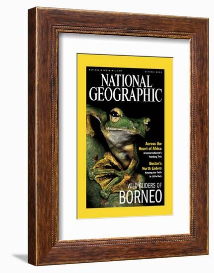 Cover of the October, 2000 National Geographic Magazine-Tim Laman-Framed Photographic Print