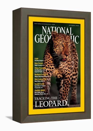 Cover of the October, 2001 National Geographic Magazine-Kim Wolhuter-Framed Premier Image Canvas