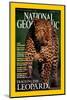 Cover of the October, 2001 National Geographic Magazine-Kim Wolhuter-Mounted Photographic Print